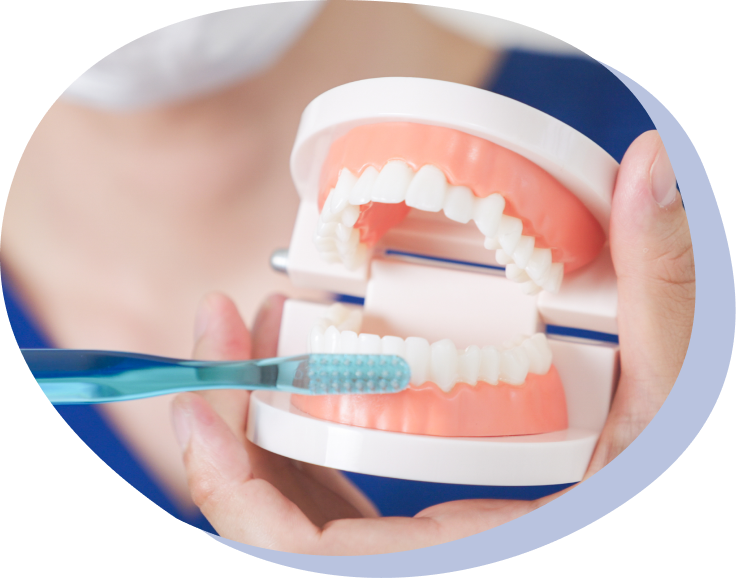 05 予防歯科への取り組み