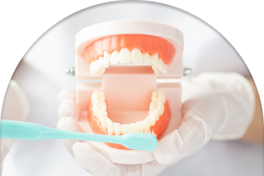 05 予防歯科への取り組み