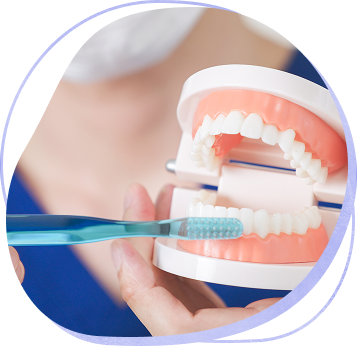 05 予防歯科への取り組み