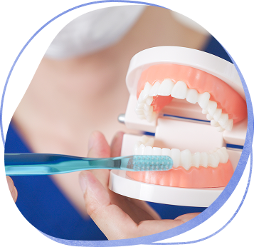 05 予防歯科への取り組み