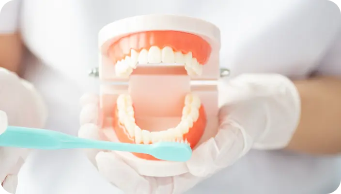 05 予防歯科への取り組み