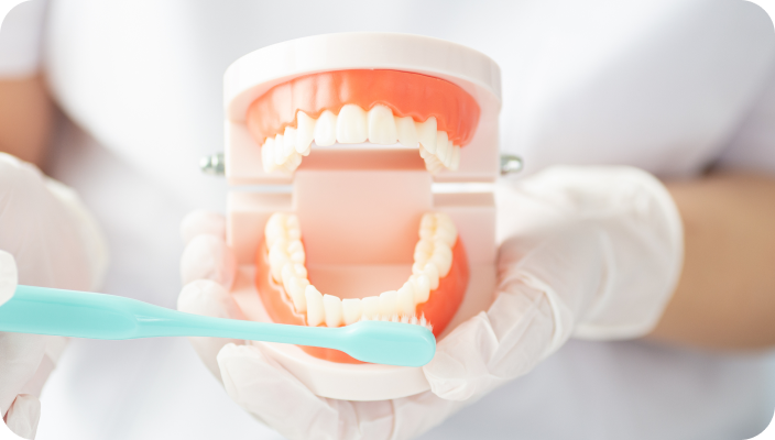 05 予防歯科への取り組み